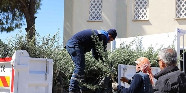 urlada-zeytin-seferberligi-20-mahalleye-fidan-destegi-5M4Q2qu9.jpg