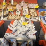 yasak-kapida-balikcilar-sezonun-son-siftahlarini-yapiyor-G695QKaZ.jpg
