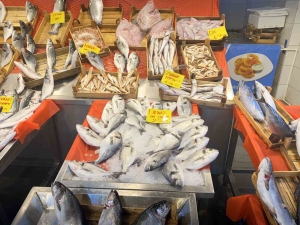 yasak-kapida-balikcilar-sezonun-son-siftahlarini-yapiyor-G695QKaZ.jpg