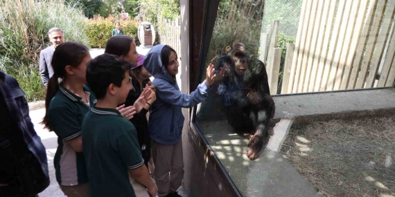 Çocuklar hayvanat bahçesini gezdi