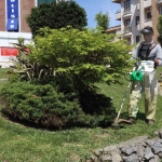 daricada-yesil-alanlarda-bahar-mesaisi-jnZftgrN.jpg