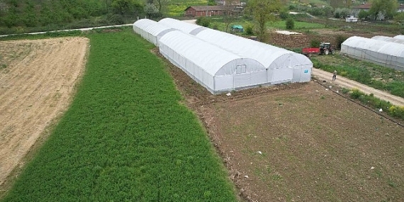 Kocaeli’nde tarım büyüyor, seracılık gelişiyor