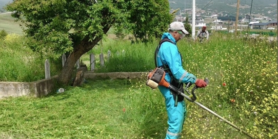 Körfez’de yabani otlarla mücadele sürüyor