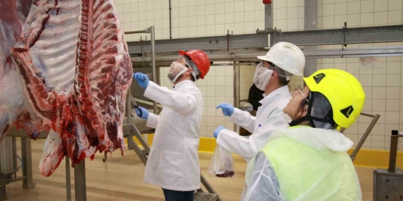 Kurban kesim başvuruları 15 Mayıs’ta başlıyor