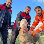 ureticilere-damizlik-koc-destegi-VIRXxeUq.jpg