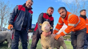 ureticilere-damizlik-koc-destegi-VIRXxeUq.jpg