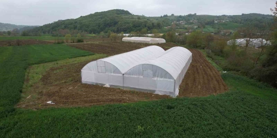 Üreticilere sera desteği