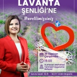 geleneksel-lavanta-senligi-25-haziranda-izmitlileri-bulusturuyor-ycDjR2tk.jpg