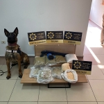 kocaelinde-uyusturucu-operasyonu-9-bin-900-ecstasy-hap-ele-gecirildi-Vdf238QE.jpg