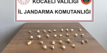 rahatsizlaninca-midesinde-kapsul-kapsul-uyusturucu-cikti-en2Xx3Oa.jpg
