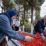 DİLİSKELESİ ŞEHİTLİK ANITI AÇILDI