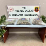 556-kok-kenevir-ve-5-kilo-skunk-ele-gecirildi-2-supheli-tutuklandi-x2mKf5NV.jpg
