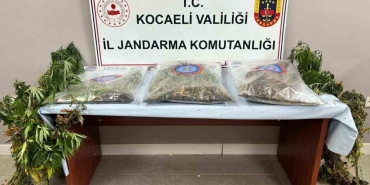 556-kok-kenevir-ve-5-kilo-skunk-ele-gecirildi-2-supheli-tutuklandi-x2mKf5NV.jpg