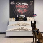 cipte-zulalanmis-82-kilo-uyusturucu-ele-gecirildi-1-supheli-tutuklandi-fA4kNbAA.jpg