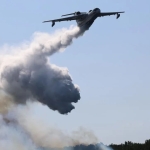 gebzede-cikan-orman-yangini-kontrol-altina-alindi-bb1G5TYJ.jpg