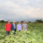izmit-belediyesinden-balkabagi-uretimine-yerel-destek-8vfcxMe4.jpeg