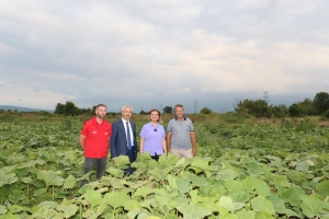 izmit-belediyesinden-balkabagi-uretimine-yerel-destek-8vfcxMe4.jpeg