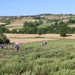 kekik-hasadi-basladi-kullanim-alani-cok-fazla-3OYbPx2i.jpg
