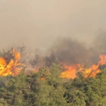 kocaeli-itfaiyesinden-sakaryaya-destek-gBaduMgb.jpg