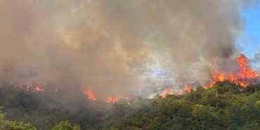 kocaelide-orman-yangini-cikti-gwWzuMcb.jpg