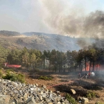 kocaeliden-bursadaki-orman-yanginina-sondurme-destegi-q9J2K58L.jpg