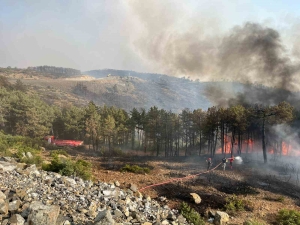 kocaeliden-bursadaki-orman-yanginina-sondurme-destegi-q9J2K58L.jpg