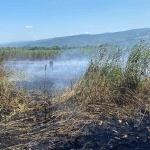 sapanca-golundeki-sazlik-alanda-yangin-cikti-c1drZT95.jpg