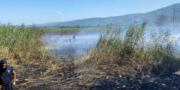 sapanca-golundeki-sazlik-alanda-yangin-cikti-c1drZT95.jpg