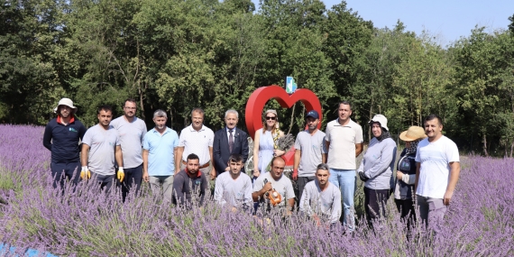Tarlada lavanta, şişede kolonya, yürekte emek..