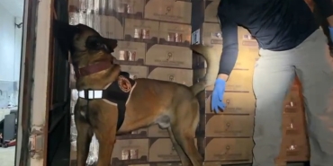 temde-durdurulan-aractan-9-kilo-kokain-ele-gecirildi-hQZpvUv9.jpg
