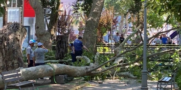 uzerine-agac-dali-dusen-genc-kiz-hayatini-kaybetti-O27eLhbP.jpg