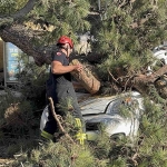 araciyla-duz-yolda-giderken-kabusu-yasadi-zSzsicbI.jpg