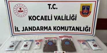 kocaelide-114-adet-sentetik-ecza-ele-gecirildi-2-tutuklama-iKRtDjAu.jpg
