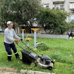korfezde-yesil-alanlarin-bakimi-yapiliyor-EF7hEmXP.jpg