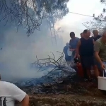 mahalleli-birlik-oldu-orman-yanginina-kovalarla-mudahale-etti-ZpOq48yW.jpg