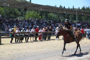 rahvan-at-yarislari-heyecaninda-sira-golcuk-kosusunda-G38bzQvN.jpg