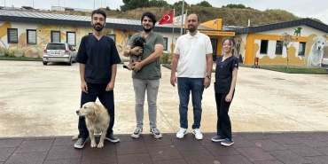 zifte-bulanan-yavru-kopek-rehabilitasyon-merkezinde-yasama-tutundu-vTuLKmNw.jpg