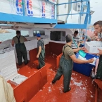 balik-fiyatlari-1-ay-sonra-ucuzlayacak-VANPX1BX.jpg