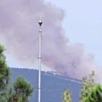 kocaelide-ormanlik-alanda-yangin-cikti-mMQ4jtOy.jpg