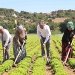 kocaelide-tarima-1-milyar-tllik-destek-OzPGd6we.jpg