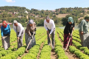 kocaelide-tarima-1-milyar-tllik-destek-OzPGd6we.jpg