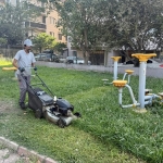 korfezde-park-ve-bahcelere-bakim-islemi-Uh47SA6F.jpg