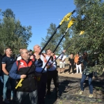 yilin-ilk-zeytinyagi-uretimi-yapildi-DqLBbiCH.jpg