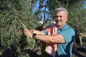 zeytinyaginda-ab-tescili-icin-cabalar-suruyor-jNmnWlO4.jpg
