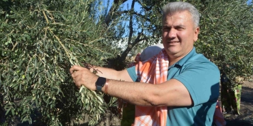 zeytinyaginda-ab-tescili-icin-cabalar-suruyor-jNmnWlO4.jpg