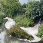 gemlik-korfezinde-kirlilik-endiseye-yolaciyor-BZr9UEN7.jpg
