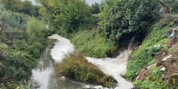 Gemlik Körfezi’nde kirlilik endişeye yolaçıyor