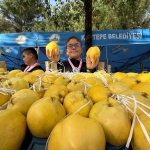 kalitesiyle-unlu-esme-ayvasi-festivalle-gorucuye-cikti-p5TTzwwW.jpg