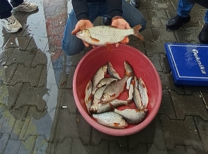 sapanca-golunde-kizilkanat-heyecani-amator-balikcilar-kiyasiya-yaristi-pclguOVe.jpg
