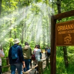 doga-turizminde-kocaeli-imzasi-D1gFwrTR.jpg